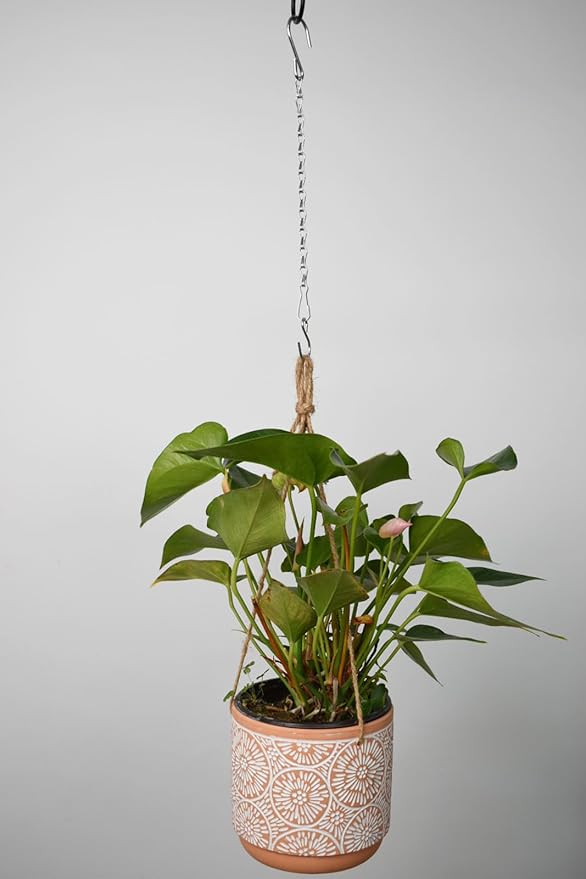 11 Inch Silver Hanging Chain, Small Hanging Basket Chain Kits with Hooks for Bird Feeder Hanging Plant Extender Porch Wind Chime