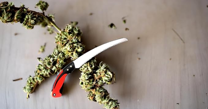 11 Inch Hand Pruning Saw with Saw Blade Enclosure for Garden Trimming Wood Camping Tree Branches