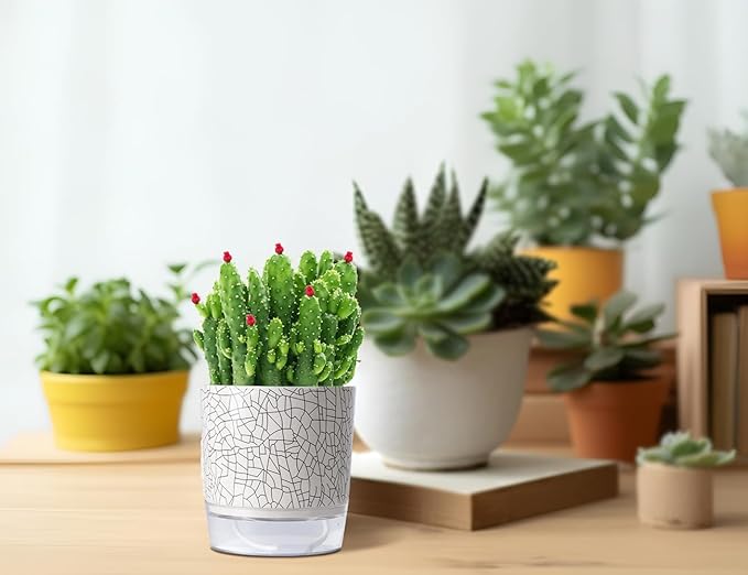Self Watering Pots for Indoor Plants, 5 & 4 Inch Stylish Flower Pots, Set of 4 Modern Planters with Self Watering Plant Feature (Crack Texture)