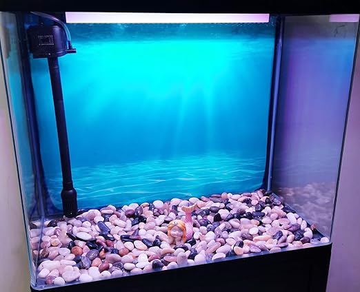 20 lbs Large River Rocks for Landscaping, 2-3 inch Polished Pebbles for Plants. Decorative Rocks for Plants Vase Aquarium Fish Tank and Garden Paving Rocks