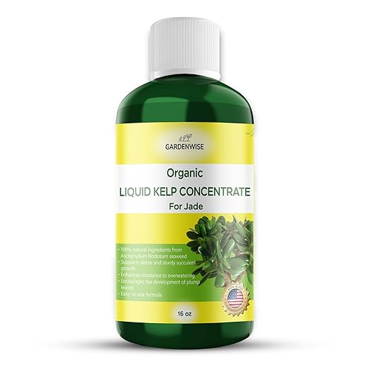 Organic Premium Kelp Seaweed Fertilizer for Jade - Liquid Fertilizer - Liquid Plant Food - Nutrient-Rich Soil Enhancer - Natural Plant Food for Jade Plant (16 OZ)