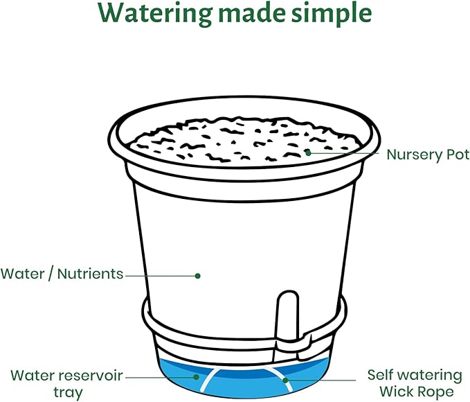 20 Pack 5 Inch Clear Self Watering Plant Pots with Bottom Water Tray & Watering Rope, Transparent Nursery Pots with Drainage for Seedlings, Herbs, and Houseplants