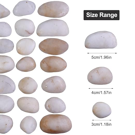 20Ib Cream White River Rock- Decorative Pebbles for Plants - River Rocks for Outdoor Landscaping- 0.3"-0.8" inch High Polished Stones for Aquarium, Terrarium,Vases, Home Decor