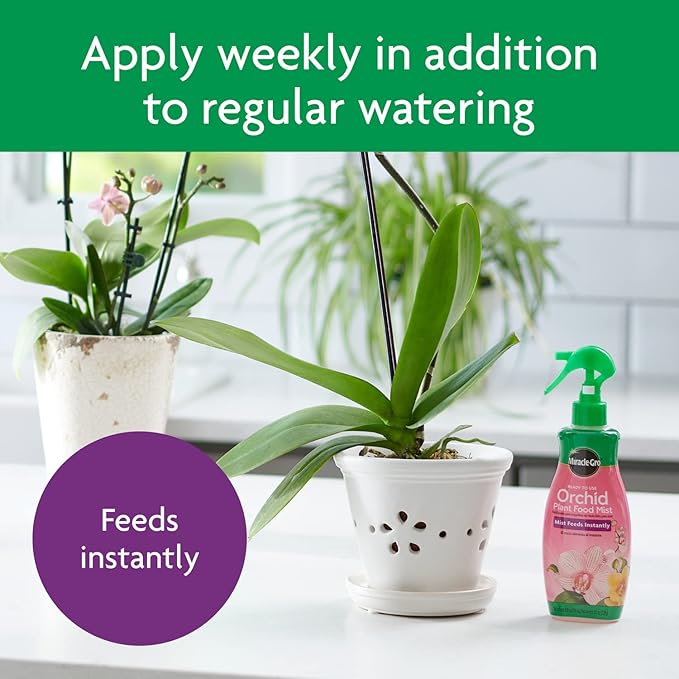 Miracle-Gro Ready to Use Orchid Plant Food Mist, Feeds All Types of Indoor Orchid Plants, 8 oz.