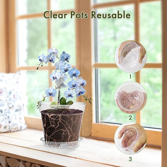 3 Inch Clear Nursery Pots, 30 Pack Highly Transparent Plastic Seedling Starter Planters with Drainage Holes and Trays for Flowers, Small Plant Pots for Indoor Plants