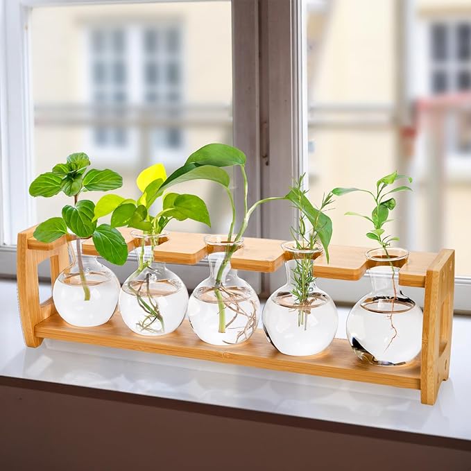 2 Pack Plant Propagation Stations, Desktop Plants Terrarium with Wooden Stand, Water Propagation Station, Hydroponic Plant Vase with 8 Glass Bulbs, Small Propagated Plants Jar for Home Office