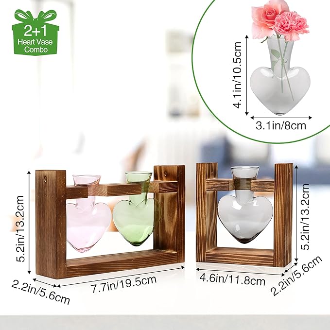 2+1 Plant Terrarium Plant Propagation Station Birthday Gifts for Women Home Office Decor with Wooden Stand