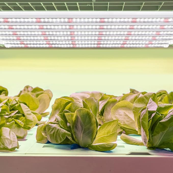 Plant Grow Light Strips, 204 LED-Bulbs 5000K White Full Spectrum Grow Light Strips for Indoor Plants, Succulents, Seeds Starting, Greenhouse, End-to-End Connection (4x10W, 200W Equivalent)