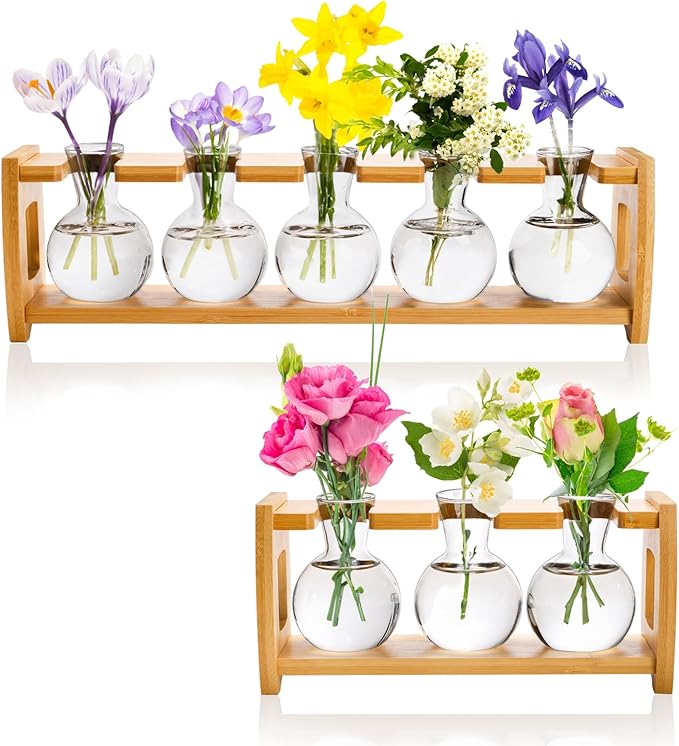 2 Pack Plant Propagation Stations, Desktop Plants Terrarium with Wooden Stand, Water Propagation Station, Hydroponic Plant Vase with 8 Glass Bulbs, Small Propagated Plants Jar for Home Office