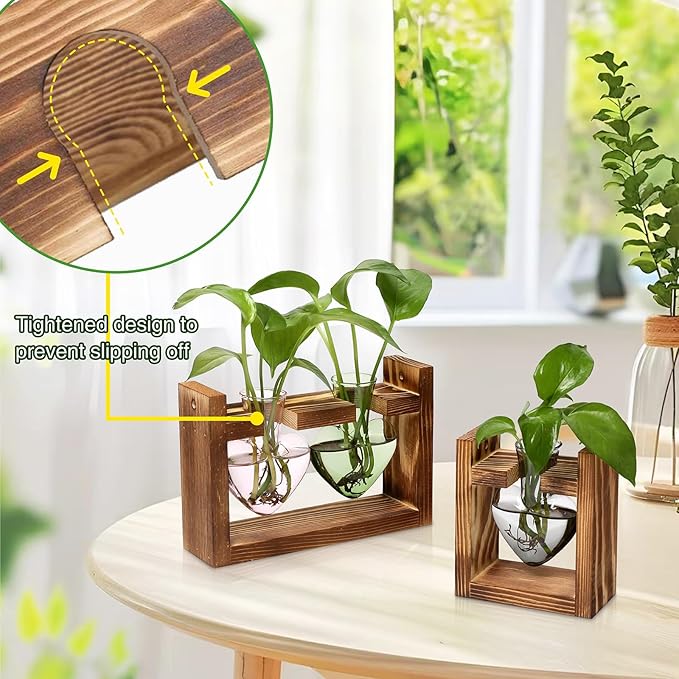 2+1 Plant Terrarium Plant Propagation Station Birthday Gifts for Women Home Office Decor with Wooden Stand
