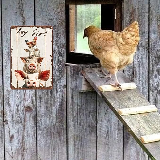 Metal Signs Hey Girl A Group Of Chicken Sheep Pig Sign Vintage Aluminum Sign for Home Office Kitchen Bar Cafe Garden Wall Decor 12x8 Inch