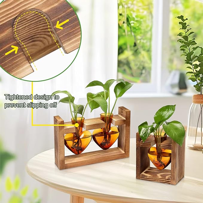2+1 Plant Terrarium Plant Propagation Station Birthday Gifts for Women Home Office Decor with Wooden Stand