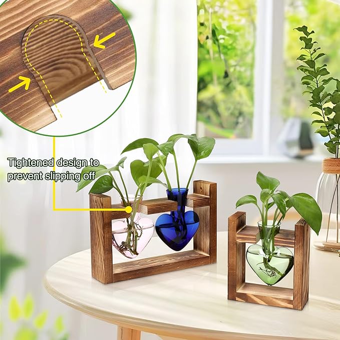 2+1 Plant Terrarium Plant Propagation Station Birthday Gifts for Women Home Office Decor with Wooden Stand