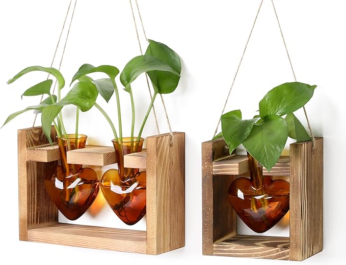 2+1 Plant Terrarium Plant Propagation Station Birthday Gifts for Women Home Office Decor with Wooden Stand