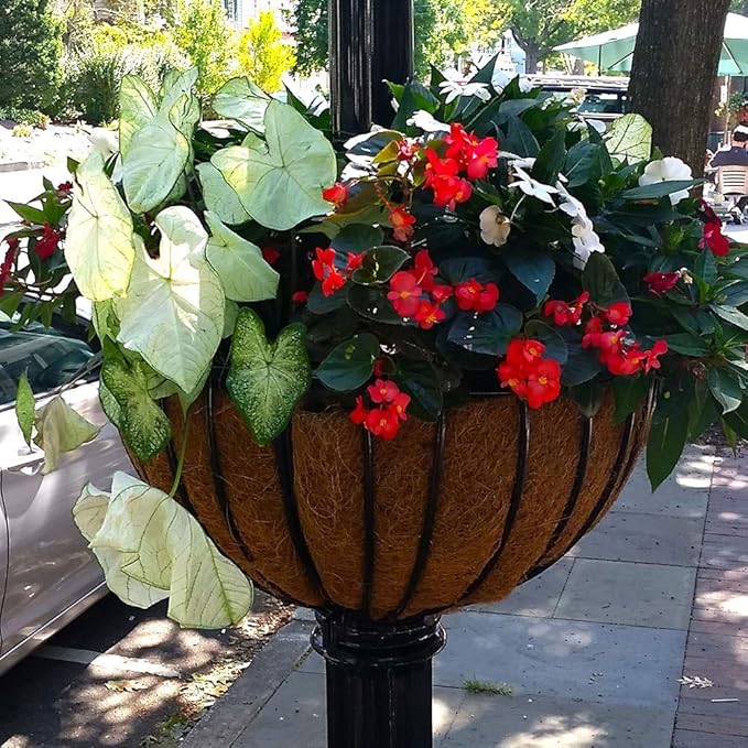 16 Inch Coco Liner for Planters, 2PCS Round Replacement Plant Basket Liner, Coco Fiber for Hanging Basket