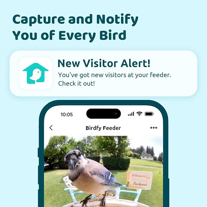 NETVUE by Birdfy Smart Bird Feeder with Camera, Bird Watching Camera, Auto Capture Video & Motion Detection, 1080P Live Steam, Cardinal Feeder Outdoor Wireless, Ideal Present for Backyard Birder, Blue