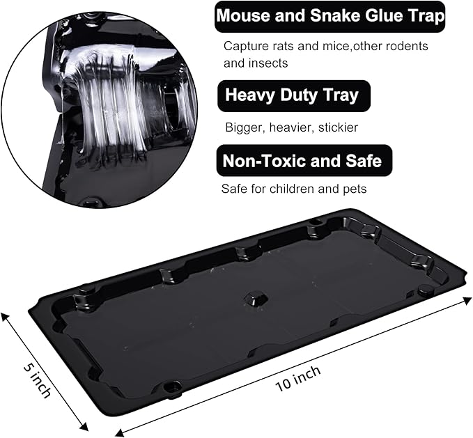 10 Pack Sticky Mouse Trap Rat Traps Indoor, Peanut Taste Pheromone Mouse Traps Indoor for Home