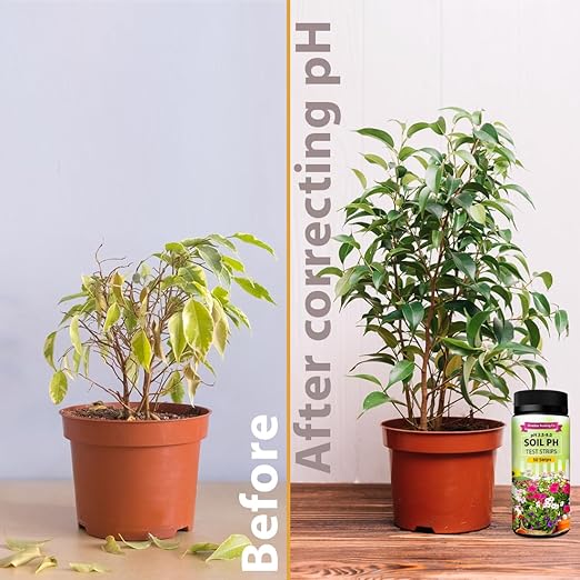 Soil pH Paper Test Kit – 100 Tester Strips (3.5-9 Range) – Use for Testing Garden Home Lawn Grass Vegetable Gardening Dirt Yard Compost Outdoor and Indoor Plants