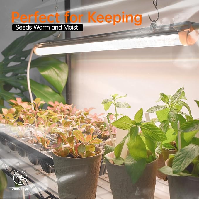 Indoor Greenhouse with Grow Light, Mini Green House with 4 Pack 24W Full Spectrum Plant Lights with Timer, Plant Shelf with Tent for Indoor Plant, Seed Starting, Seed Tray, 35.4"x13.8"x59"