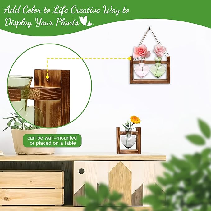 2+1 Plant Terrarium Plant Propagation Station Birthday Gifts for Women Home Office Decor with Wooden Stand