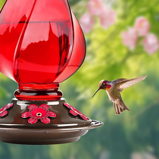 Hummingbird Feeder, BOLITE Glass Hummingbird Feeders for Outdoors Hanging, with Ant Moat and Five Feeding Ports, 22 Ounces, Leak Proof, Red, Birthday Gifts for Women Men, Gifts for Mom Dad