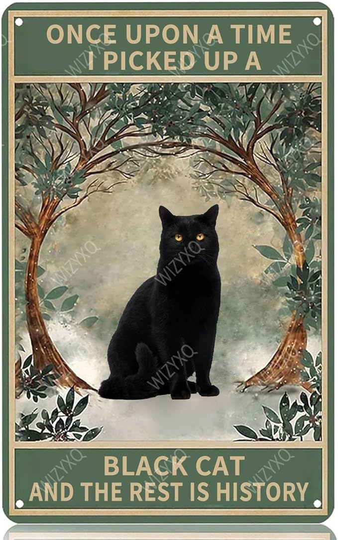 Metal Signs Once Upon A Time I Picked Up A Black Cat And The Rest Is History Vintage Tin Sign for Home Office Kitchen Bar Cafe Garden Wall Decor 12x8 Inch