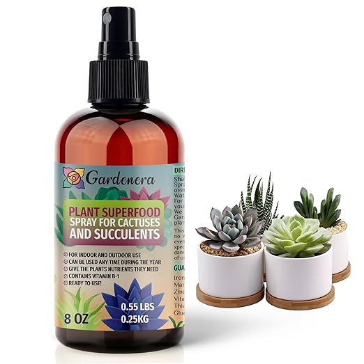 𝐁𝐄𝐒𝐓𝐒𝐄𝐋𝐋𝐄𝐑 Plant Superfood for Succulents & Cactus Plants with B1 Vitamin, Glucose and Essential Minerals - Organic Plant Food Fertilizer for Indoor & Outdoor Succulents - 8oz