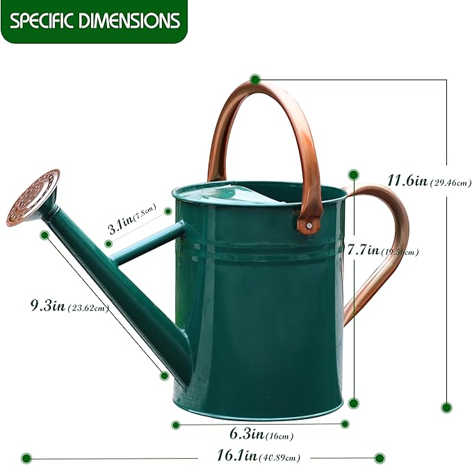 Metal Watering Can for Outdoor and Indoor Plants, Watering Can Decor, 1 Gallon (NewGreen)