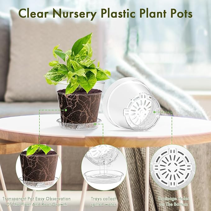 3 Inch Clear Nursery Pots, 60 Pack Highly Transparent Plastic Seedling Starter Planters with Drainage Holes and Trays for Flowers, Small Plant Pots for Indoor Plants