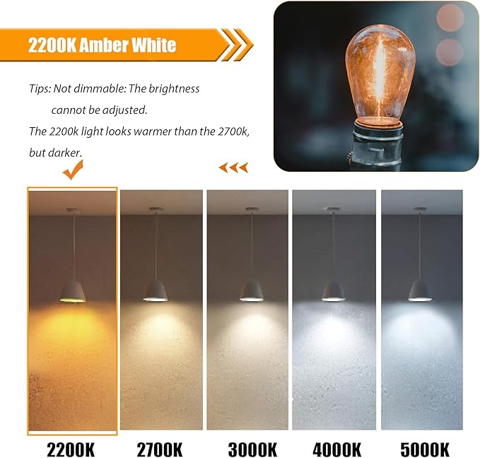 25 Pack S14 Replacement Bulbs for String Lights, 1W LED Waterproof Shatterproof Outdoor Light Bulbs, 2200K Amber Warm White, E26 Base, Non-Dimmable