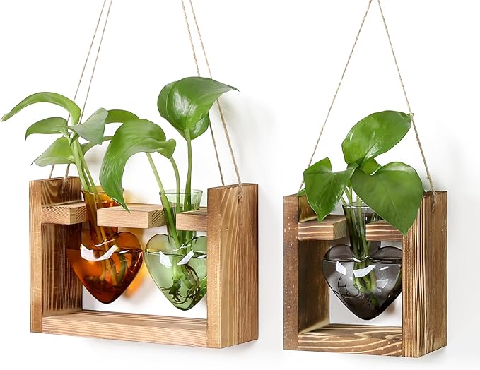 2+1 Plant Terrarium Plant Propagation Station Birthday Gifts for Women Home Office Decor with Wooden Stand