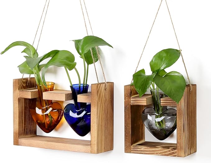 2+1 Plant Terrarium Plant Propagation Station Birthday Gifts for Women Home Office Decor with Wooden Stand