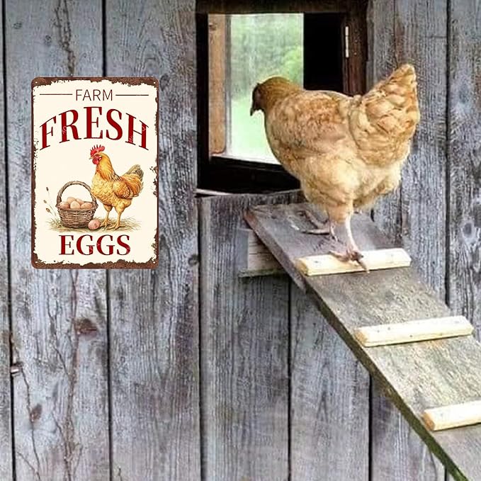 Metal Signs Farm Fresh Eggs Chicken Vintage Tin Sign for Farmhouse Chicken Coop Farm Kitchen Wall Decor 12x8 Inch