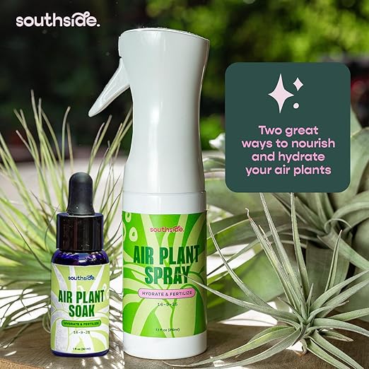 Air Plant Fertilizing Concentrated Soak by Southside Plants - Fertilizer Mist for Houseplants, Weekly Plant Food - Gentle Mist Formula for Miracle Feed & Grow - 1 oz