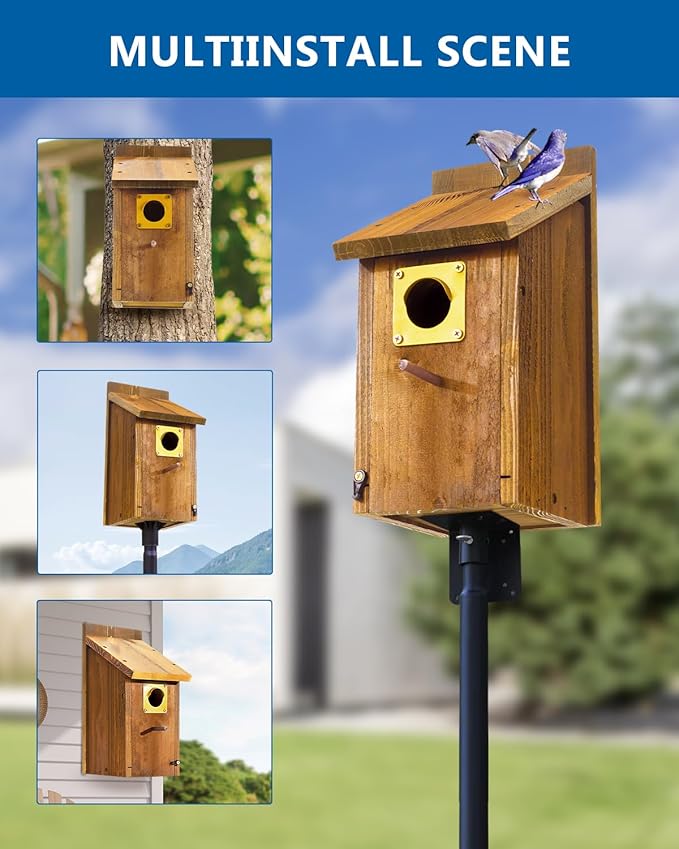 2pk Large Bluebird House for Outdoor - Extra High Size, with Perch, Mesh Base & Brass Guard - Cedar Birdhouse for Bluebirds, Finches, Swallows Carbonized Finished 5 Years Usage, Assembling Needed