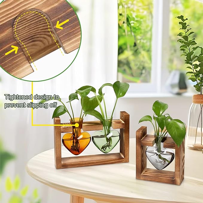 2+1 Plant Terrarium Plant Propagation Station Birthday Gifts for Women Home Office Decor with Wooden Stand