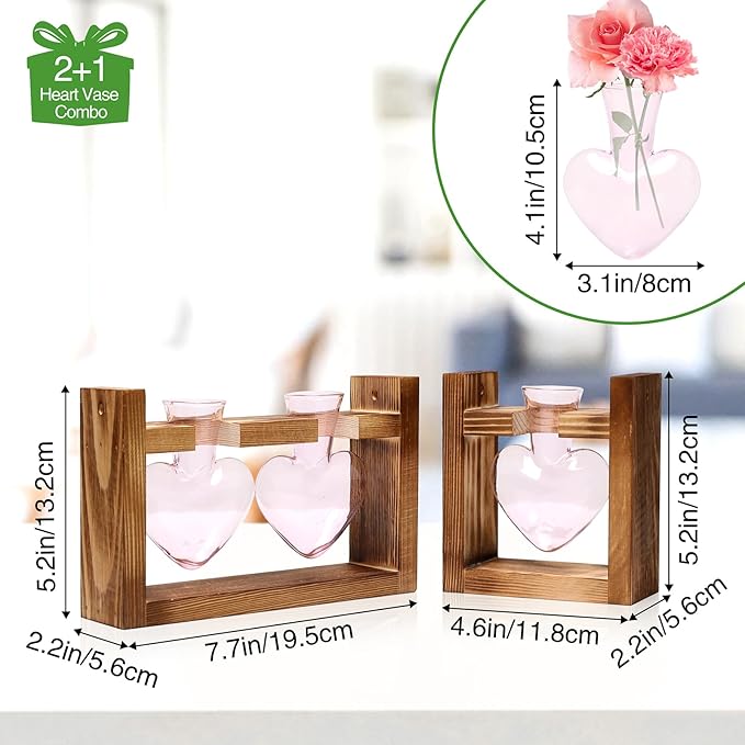 2+1 Plant Terrarium Plant Propagation Station Birthday Gifts for Women Home Office Decor with Wooden Stand