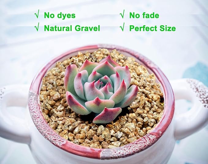 2lb Succulent and Cactus Maifanitum Stones, Décor & Additive Rocks,DIY Rocks Gravel for Bonsai, Fairy Gardening, Vases Fillers, Terrarium