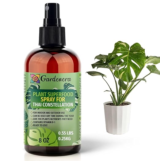 𝐁𝐄𝐒𝐓𝐒𝐄𝐋𝐋𝐄𝐑 Plant Superfood for Thai Constellation Plants with B1 Vitamin, Glucose and Essential Minerals - Organic Plant Food Fertilizer for Indoor & Outdoor Thai Constellation Care - 8oz