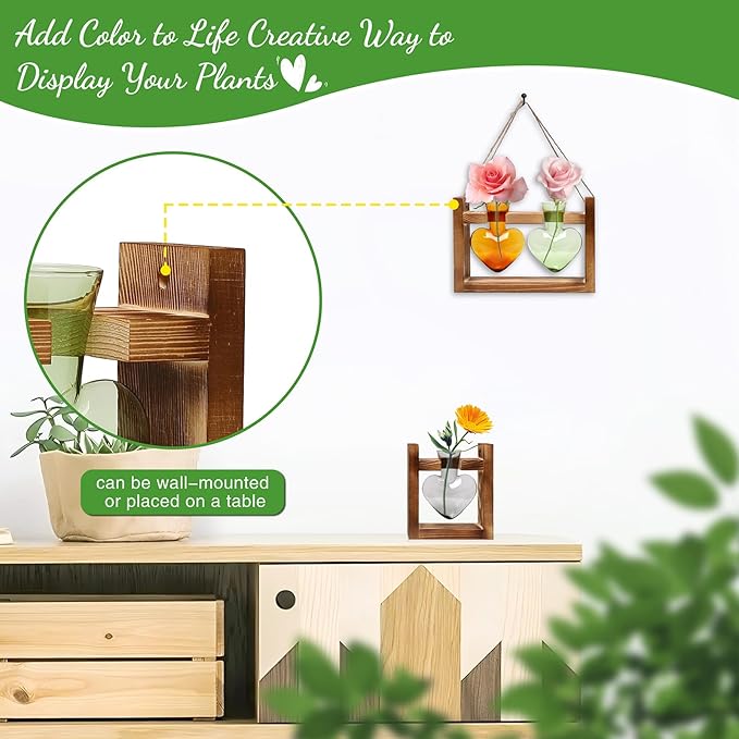 2+1 Plant Terrarium Plant Propagation Station Birthday Gifts for Women Home Office Decor with Wooden Stand
