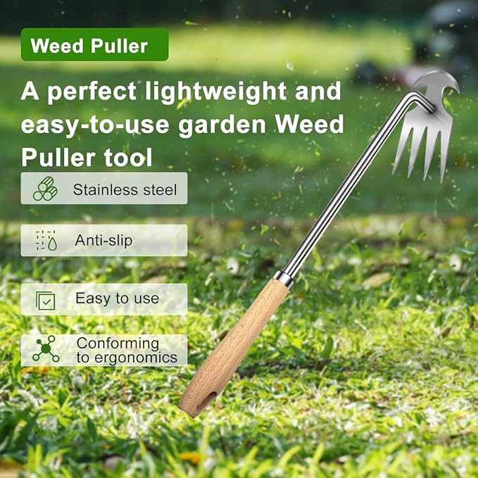 2pack 16inch Weed Puller Tool,Weeding Tool,4 Teeth Stainless Steel Hand Weeder for Effortless Weeding,Portable Uprooting Tool for Vegetable Gardening,Backyard,Farm (Wooden Handle&Stainless Steel)
