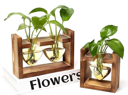 2+1 Plant Terrarium Plant Propagation Station Birthday Gifts for Women Home Office Decor with Wooden Stand