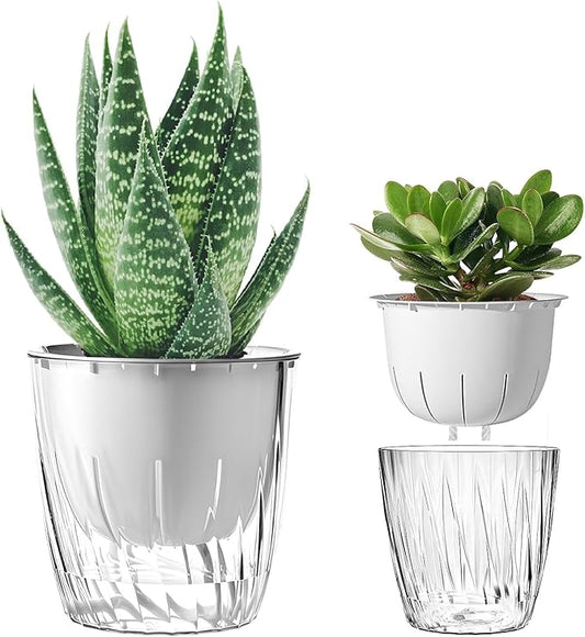 Self Watering Planters - 2 Pack, 6 Inch Transparent Flower Pots for Indoor Plants, Perfect for African Violet, Monstera, Succulents, Herbs & Decorative Flowers
