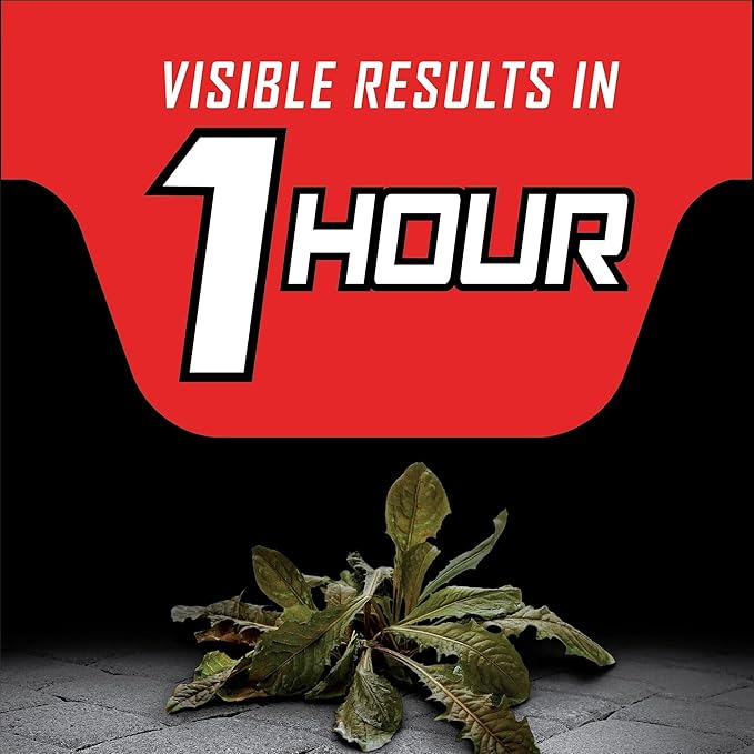 Ortho GroundClear Year Long Vegetation Killer2 Concentrate, Kills and Prevents Weeds Up to 1 Year, 2 gal.