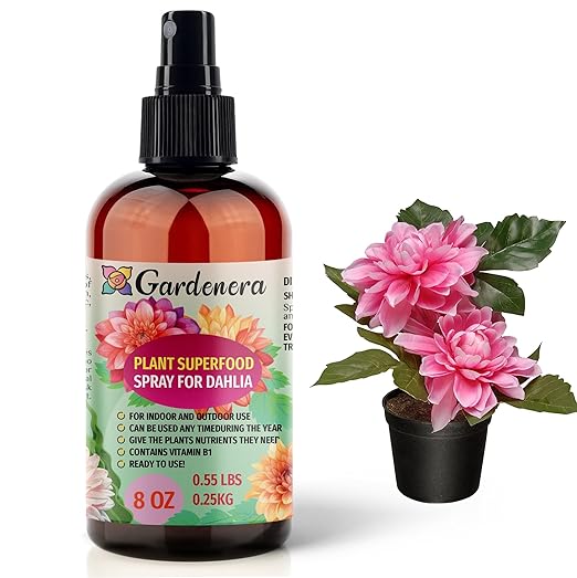 𝐁𝐄𝐒𝐓𝐒𝐄𝐋𝐋𝐄𝐑 Plant Superfood for Dahlia Plants with B1 Vitamin, Glucose and Essential Minerals - Organic Plant Food Fertilizer for Indoor & Outdoor Dahlia Plant Care - 8oz