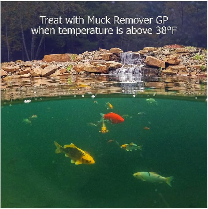 Muck Remover GP - 150 Pellets | Koi Pond Sludge Remover | Safe for Fish | Treats 5,000 Gallons up to 5 Months