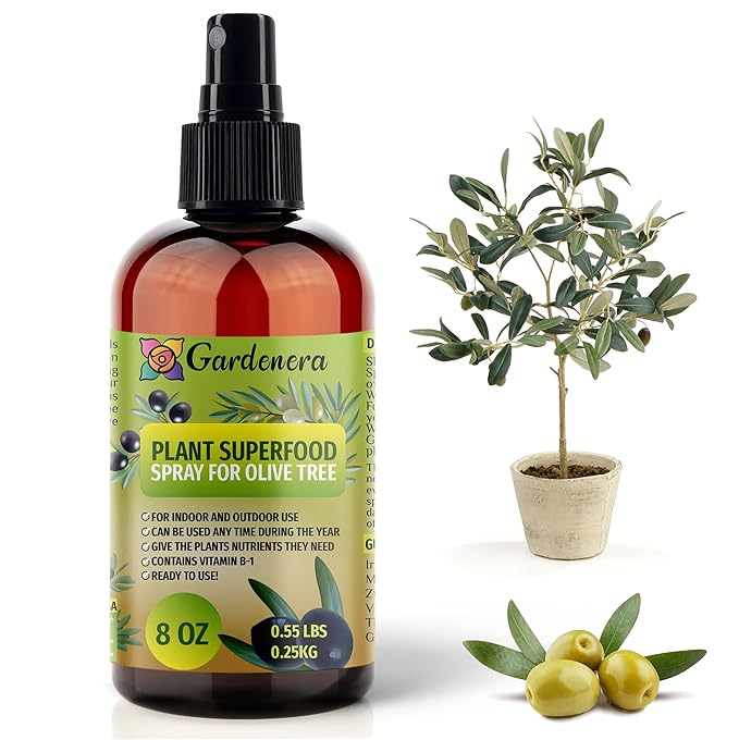 𝐁𝐄𝐒𝐓𝐒𝐄𝐋𝐋𝐄𝐑 Plant Superfood for Olive Tree with B1 Vitamin, Glucose and Essential Minerals - Organic Plant Food Fertilizer for Indoor & Outdoor Olive Trees - 8oz