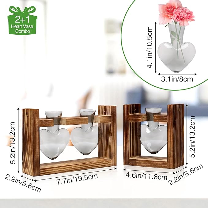 2+1 Plant Terrarium Plant Propagation Station Birthday Gifts for Women Home Office Decor with Wooden Stand