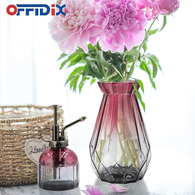 OFFIDIX Glass Spray Bottle,Flower Mister Indoor Plant Watering Can Plant Mister with Bronze Plastic Top Pump Glass Small Watering Can One Hand Small Watering Cans for House Plants