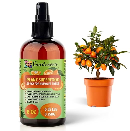 𝐁𝐄𝐒𝐓𝐒𝐄𝐋𝐋𝐄𝐑 Plant Superfood for Kumquat Plants with B1 Vitamin, Glucose and Essential Minerals - Organic Plant Food Fertilizer for Indoor & Outdoor Kumquat Trees - 8oz